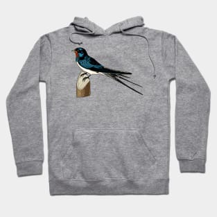 Barn Swallow Hoodie